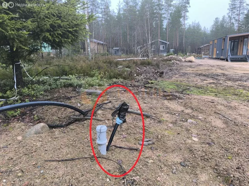 Участок в Выборгский район, посёлок Поляны (9.5 м) - Фото 2