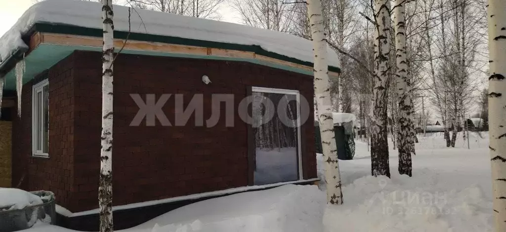 Дом в Новосибирская область, Новосибирский район, Станционный ... - Фото 2