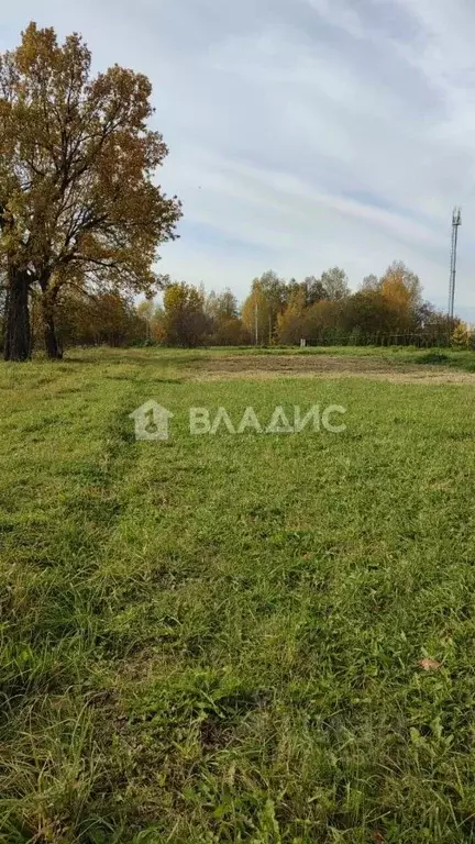 Участок в Марий Эл, Медведевский район, Нурминское с/пос, д. Арбаны  ... - Фото 2