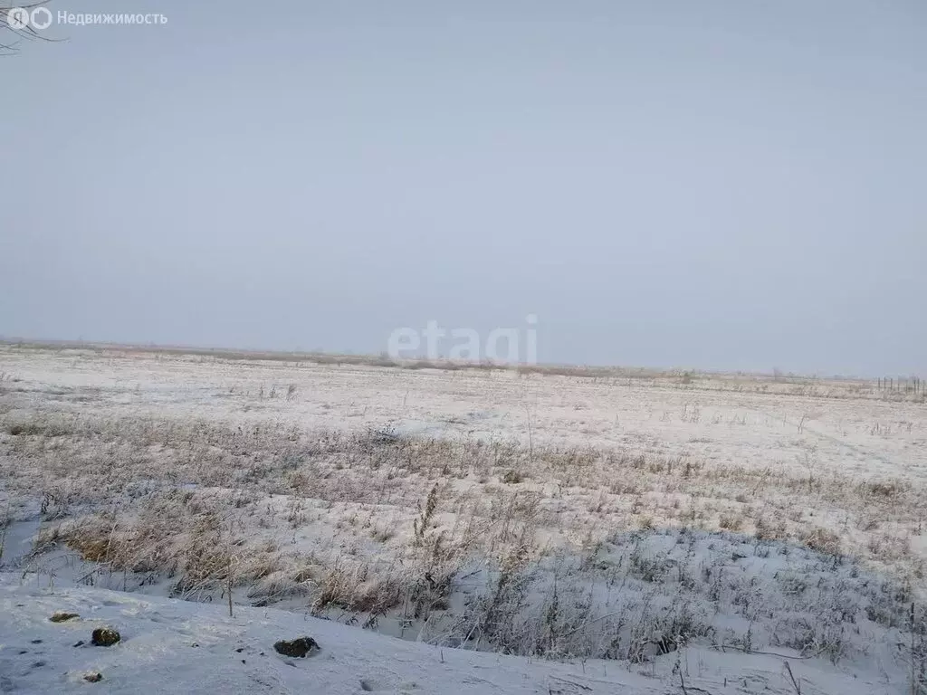 Участок в деревня Кайбалы, Калининградская улица (12 м) - Фото 1