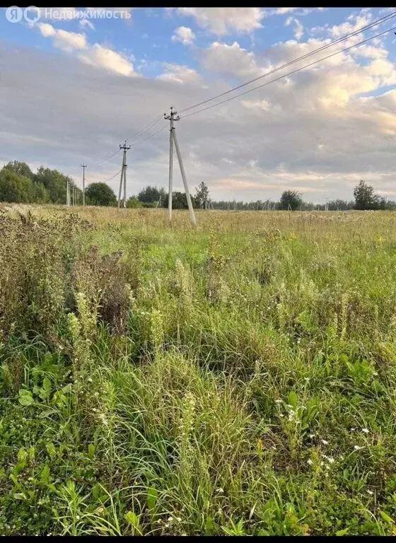Участок в Нижегородская область, Дальнеконстантиновский муниципальный ... - Фото 2