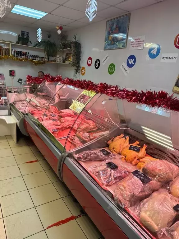 Торговая площадь в Воронежская область, Воронеж ул. 9 Января, 233/29 ... - Фото 1