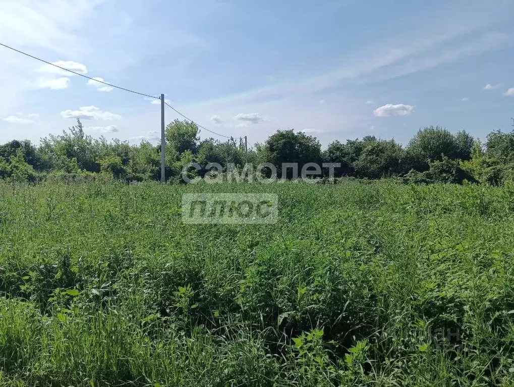 Участок в Пензенская область, Бессоновский район, с. Чемодановка ул. ... - Фото 0