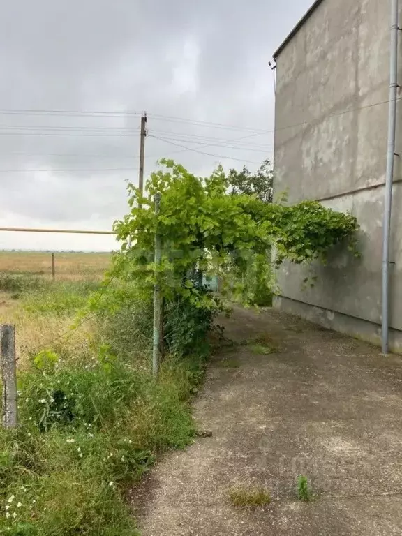 Дом в Крым, Черноморский район, с. Новоивановка ул. Вишневая, 7 (238 ... - Фото 1