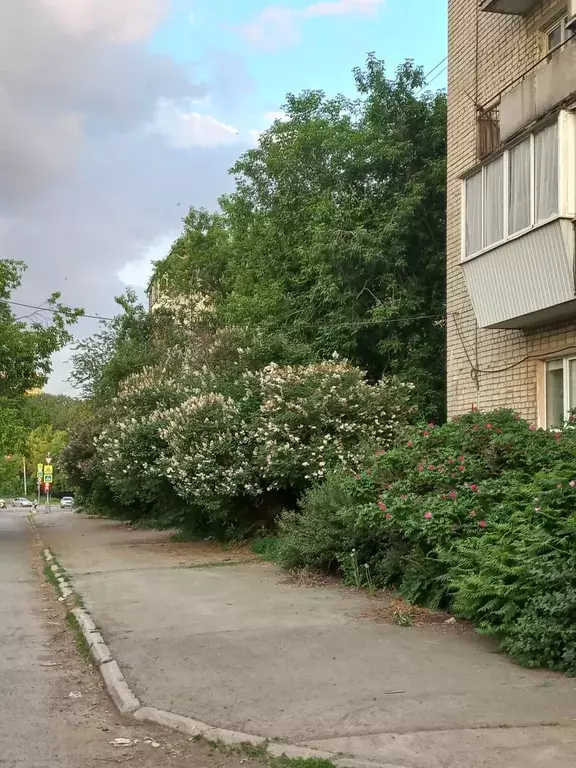 Продаётся 1-к квартира, 30.8 м - Фото 1