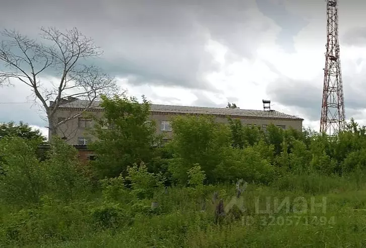 Помещение свободного назначения в Курганская область, Юргамыш рп ул. ... - Фото 1