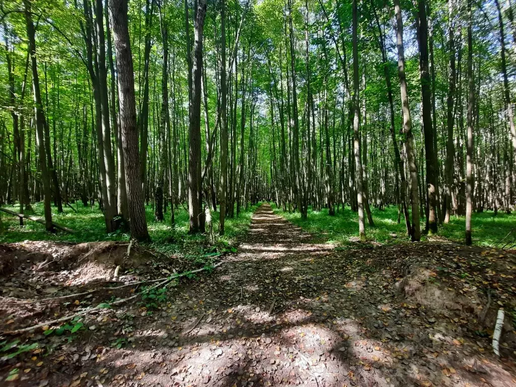 Участок в Тульская область, Заокский район, Страховское с/пос, д. ... - Фото 2