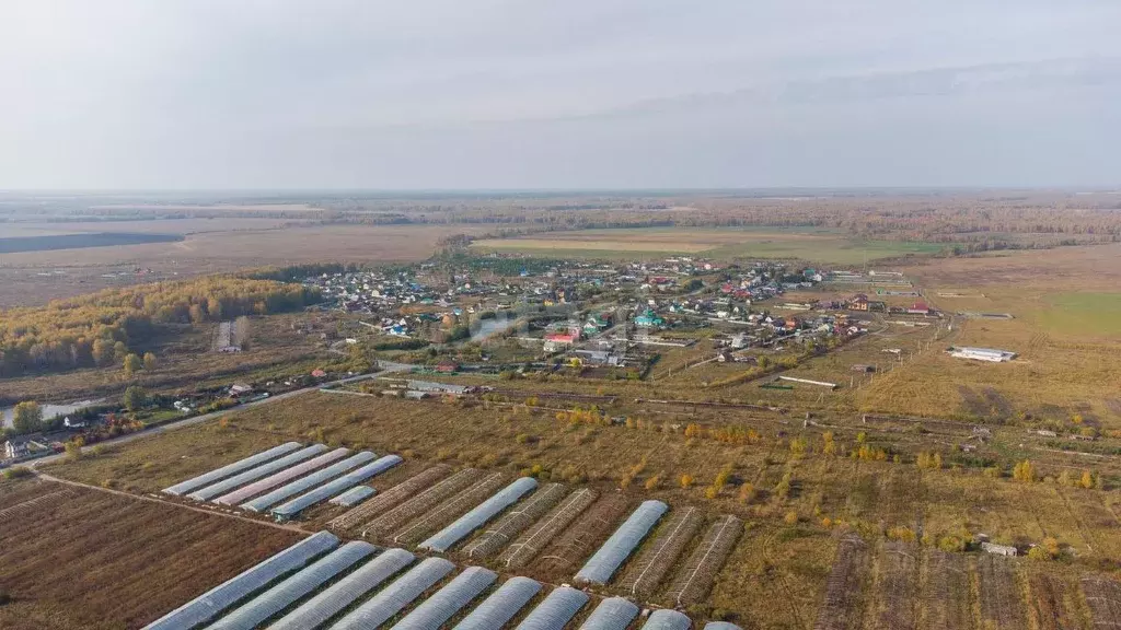 Участок в Тюменская область, Тюменский район, д. Елань  (6.8 сот.) - Фото 0