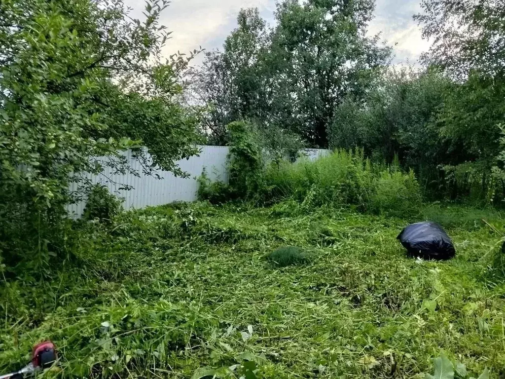 Участок в Новосибирская область, Новосибирск Золотая Горка СНТ, аллея ... - Фото 2