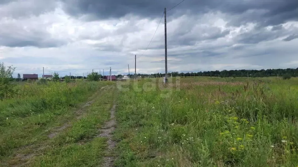 Участок в Красноярский край, Сосновоборский муниципальный округ, с. ... - Фото 1