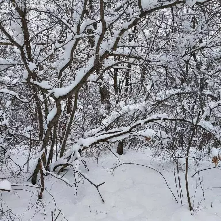 Дом в Брянск, садоводческое объединение Родина (10 м) - Фото 1