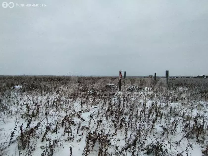 Участок в Тюменский район, деревня Елань (8 м) - Фото 0