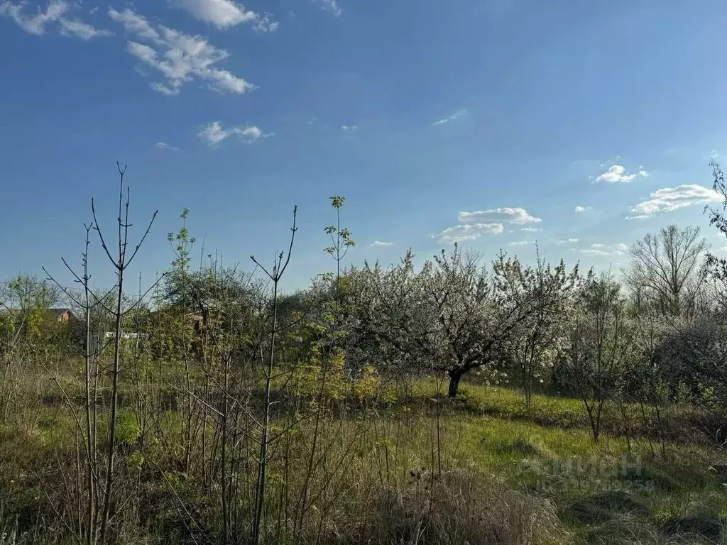 Участок в Белгородская область, Белгородский район, Никольское с/пос, ... - Фото 1