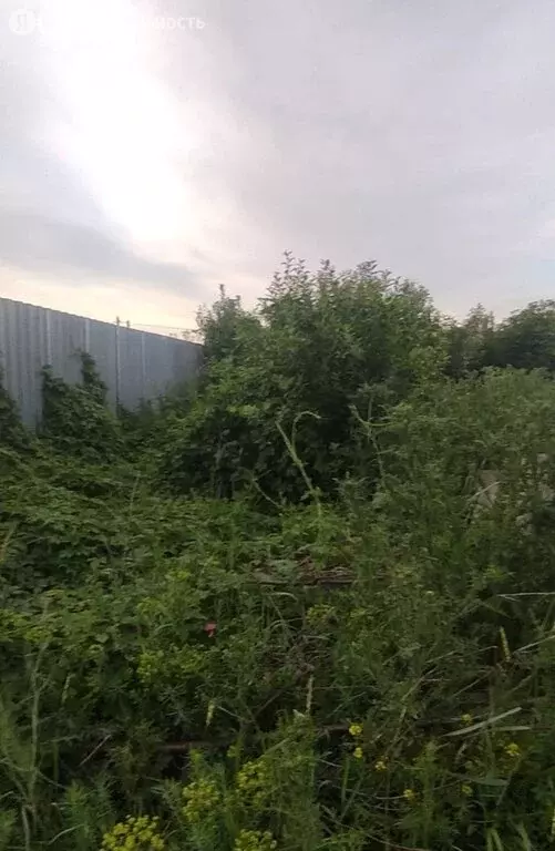 Участок в Оренбург, дачный массив Ростоши-1, СНТ Янтарь (5 м) - Фото 0