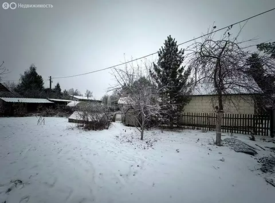 Участок в Тюмень, СНТ Строитель, Сосновая улица (4.4 м) - Фото 1