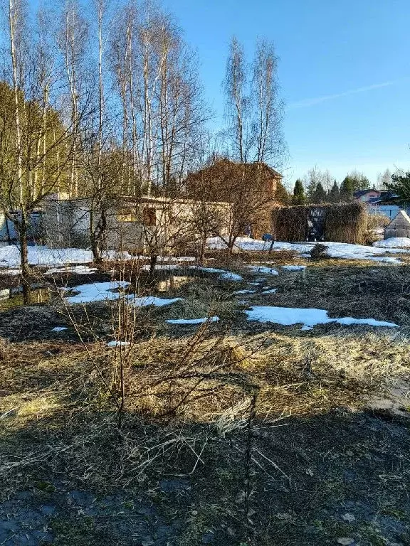 Продается участок в д. Осеченки - Фото 2