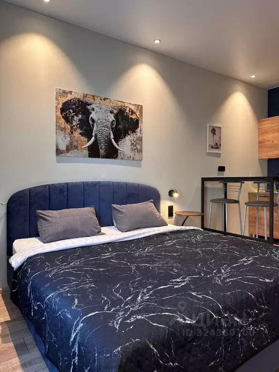 Студия Санкт-Петербург просп. Энергетиков, 8к2 (25.0 м) - Фото 2