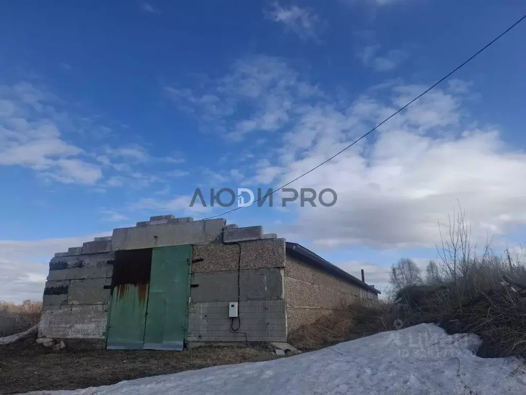 Склад в Алтайский край, Первомайский район, с. Березовка ул. 40 лет ... - Фото 2