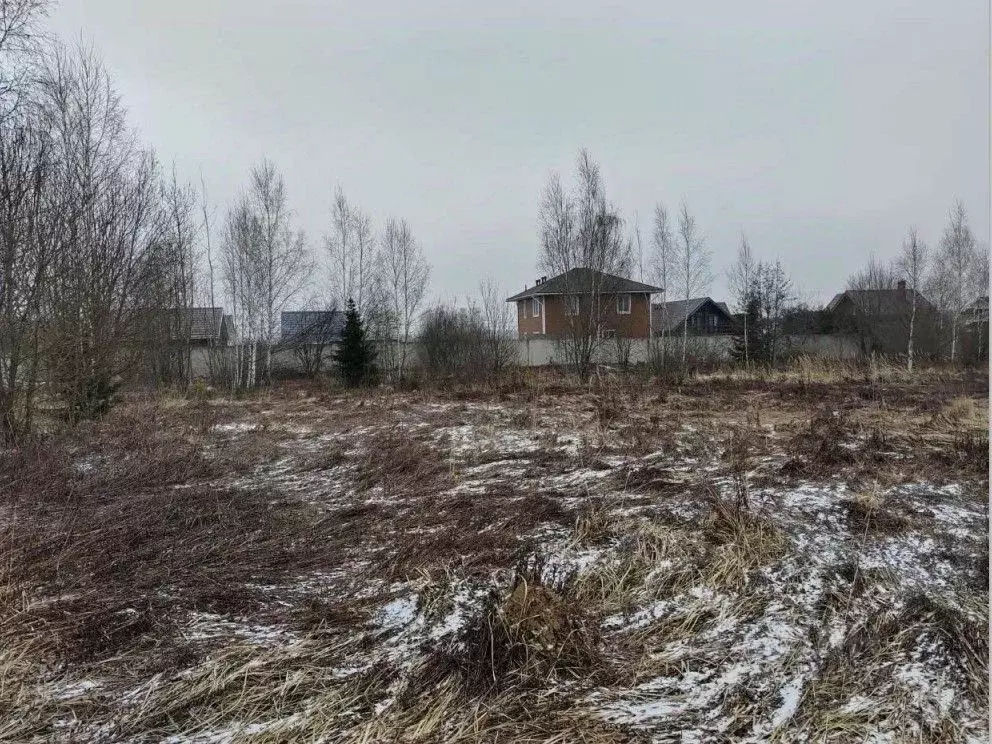 Участок в Московская область, Чехов муниципальный округ, с. Молоди ул. ... - Фото 0
