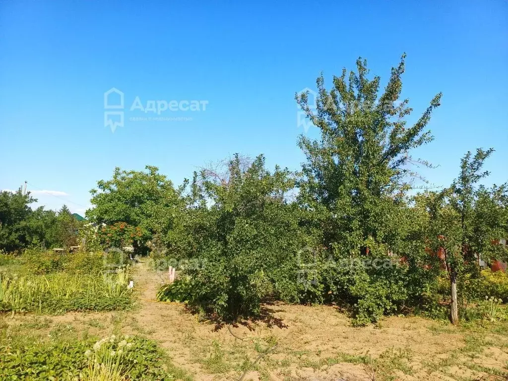 Участок в Волгоградская область, Городищенский район, Ерзовское ... - Фото 2