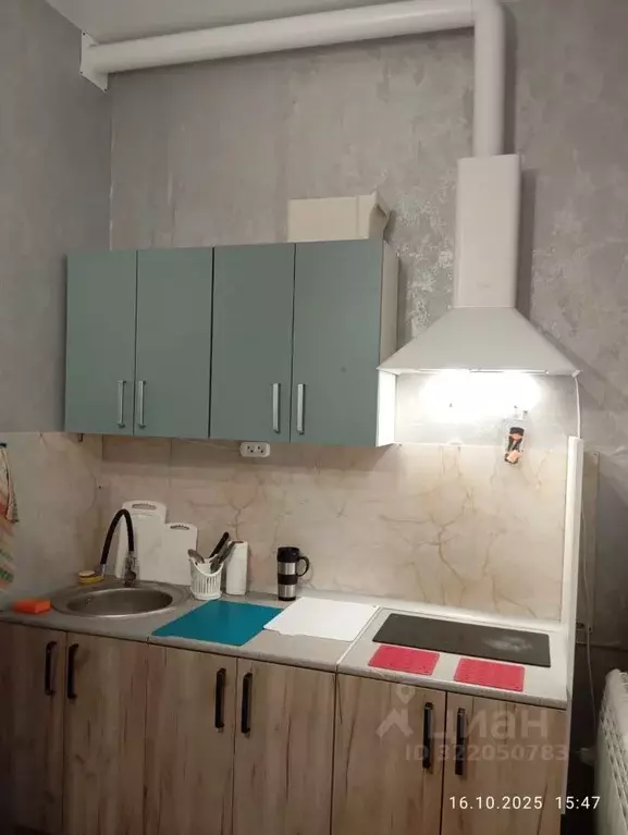 Студия Московская область, Подольск городской округ, д. Бородино ш. ... - Фото 1