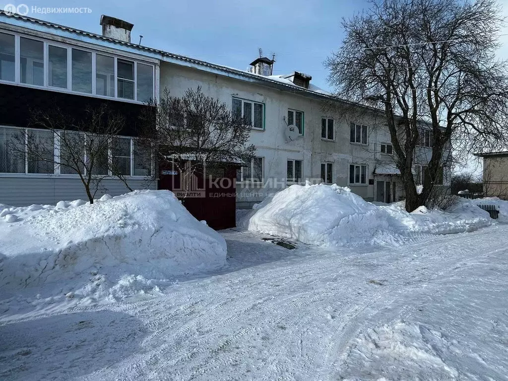 3-комнатная квартира: село Цибеево, Западная улица, 2 (65 м) - Фото 1