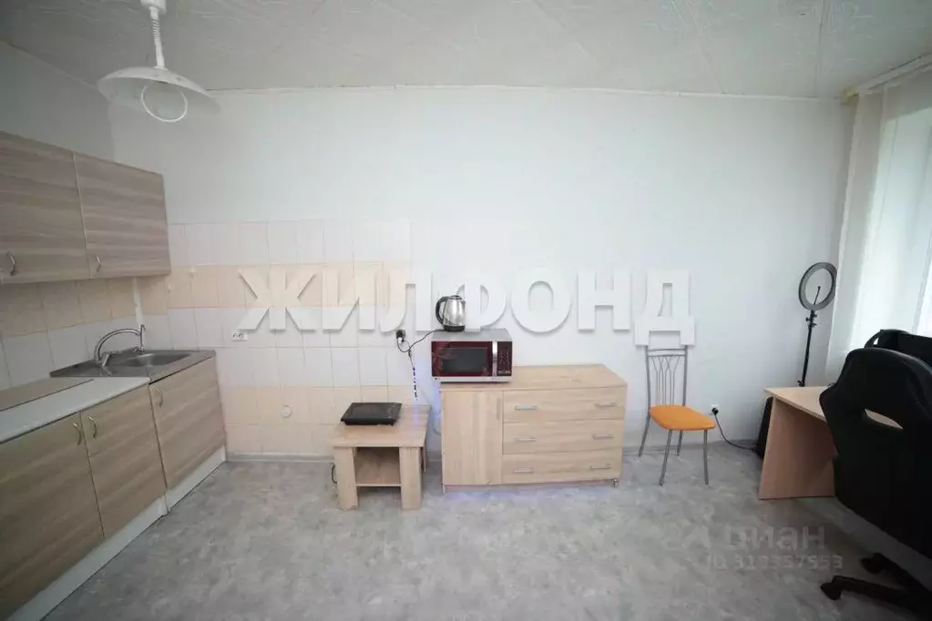 Студия Новосибирская область, Новосибирск Дивногорская ул., 150/2 ... - Фото 1