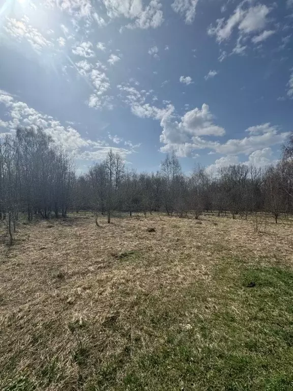 Участок в Московская область, Дмитровский муниципальный округ, д. ... - Фото 0