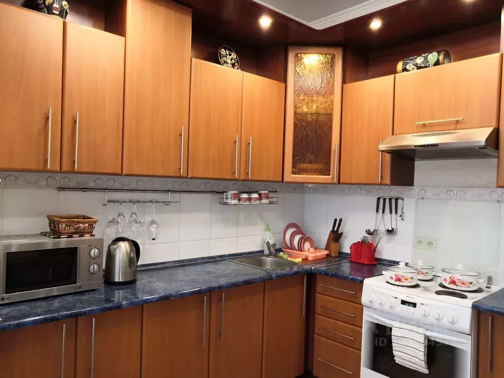 2-к кв. Новосибирская область, Новосибирск ул. Вокзальная магистраль, ... - Фото 0