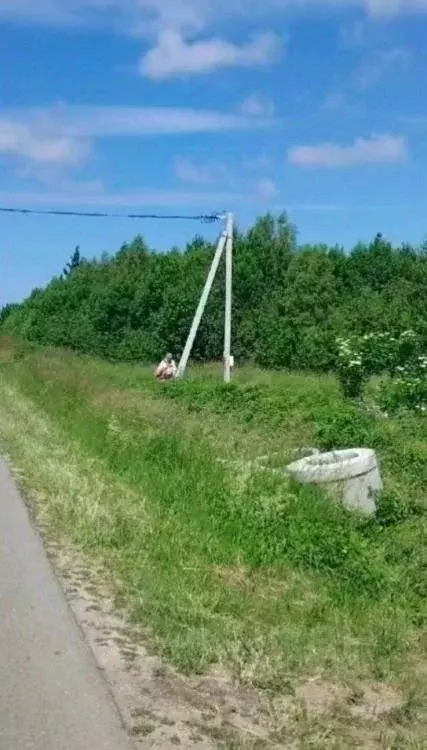 Участок в Калининградская область, Зеленоградский муниципальный округ, ... - Фото 1