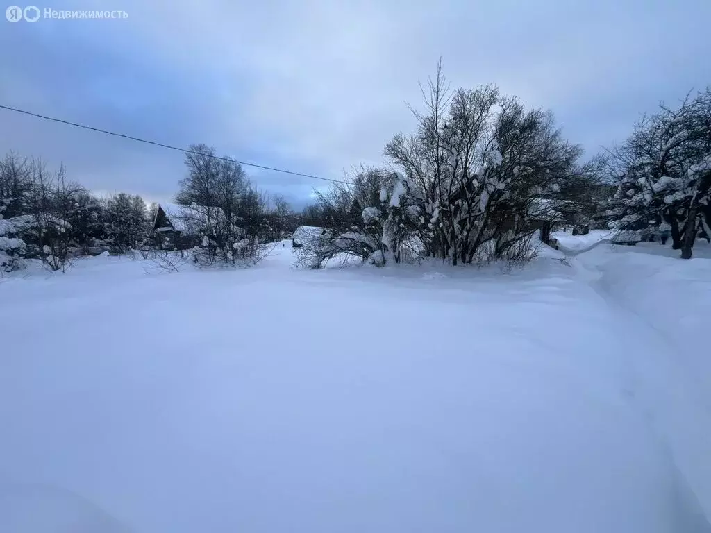 Участок в посёлок городского типа Софрино, Целинная улица, 9 (8 м) - Фото 2
