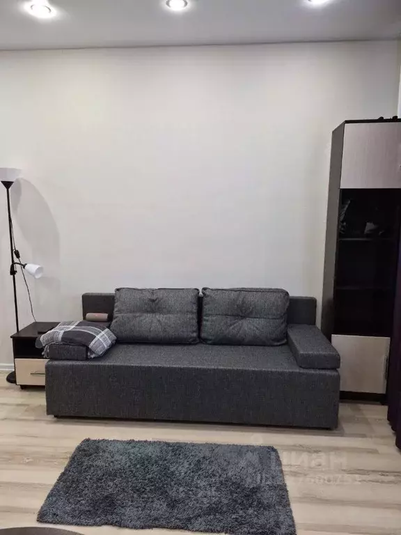 Студия Московская область, Люберцы городской округ, Мирный пгт ул. ... - Фото 1