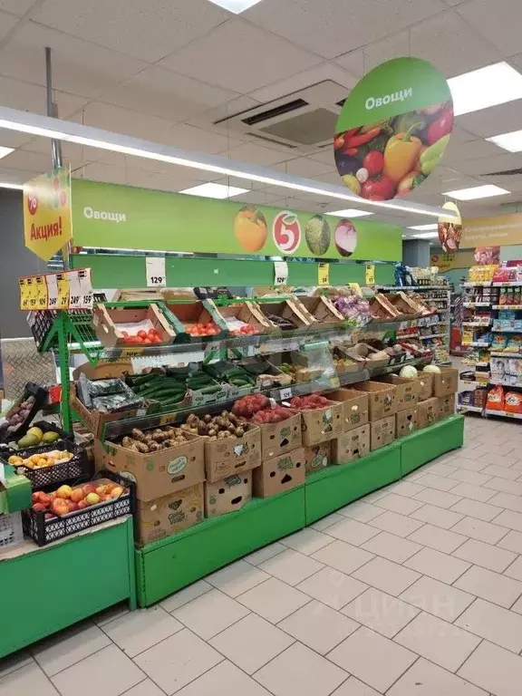 Торговая площадь в Пермский край, Соликамск ул. Пушкина, 1 (570 м) - Фото 1