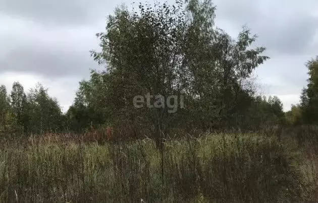 Участок, 10 сот., поселения (ижс) - Фото 0