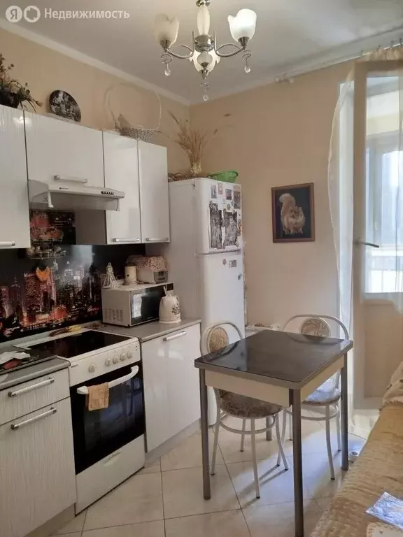 1-комнатная квартира: Санкт-Петербург, проспект Просвещения, 15 (36 м) - Фото 2