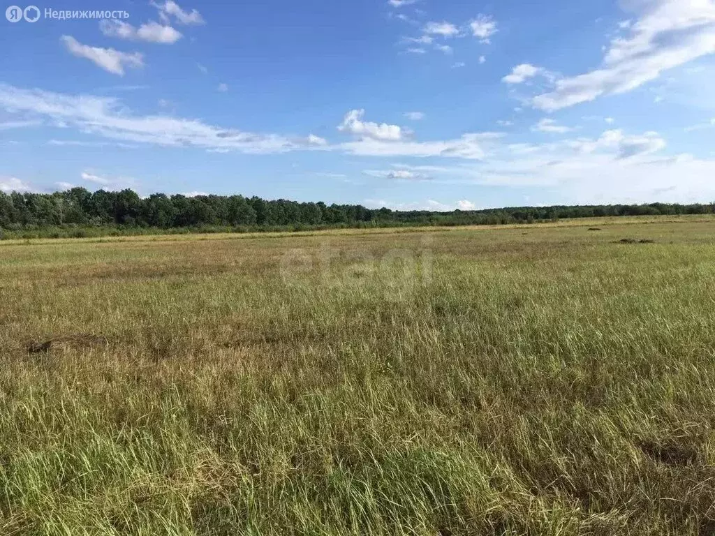 Участок в Северский район, Новодмитриевское сельское поселение, ... - Фото 2