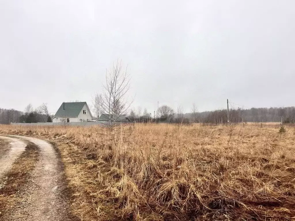 Участок в Московская область, Коломна городской округ, д. Чуркино ул. ... - Фото 0