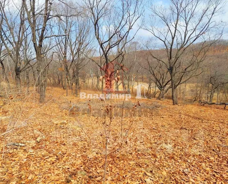 Участок в Приморский край, Находка Коммунальник СНТ, ул. Перевальная ... - Фото 1