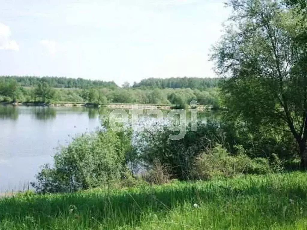Участок в Калужская область, Бабынинский район, Муромцево с/пос, д. ... - Фото 1