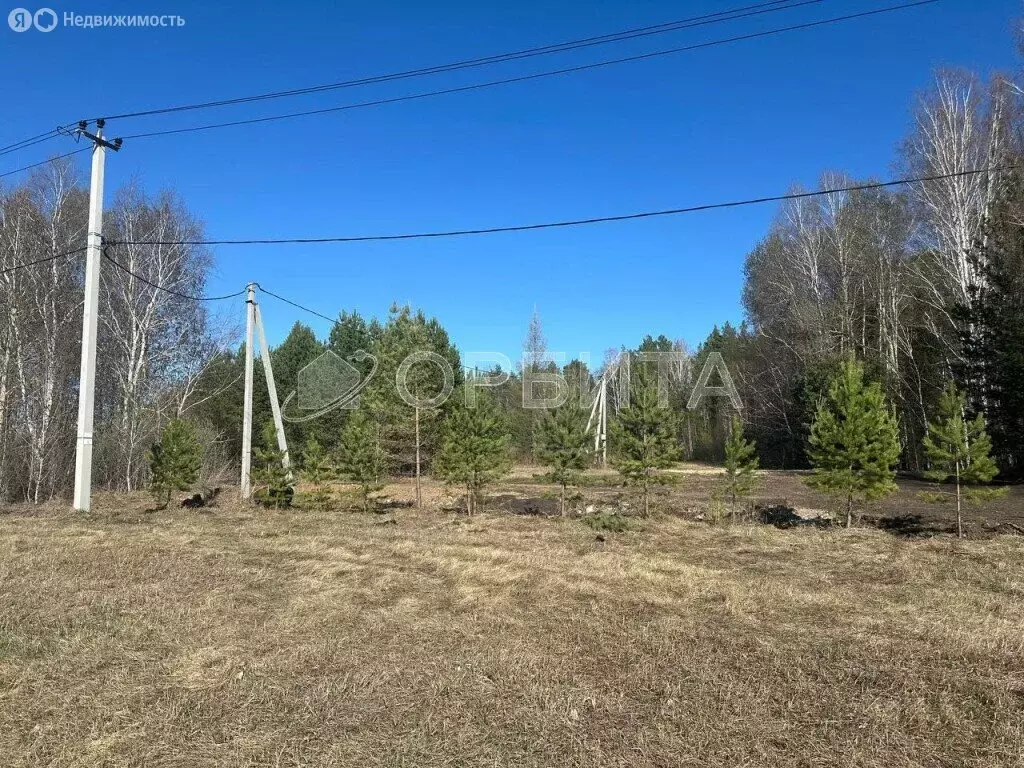 Участок в Нижнетавдинский район, деревня Московка, 5-я линия, 6 (6 м) - Фото 1