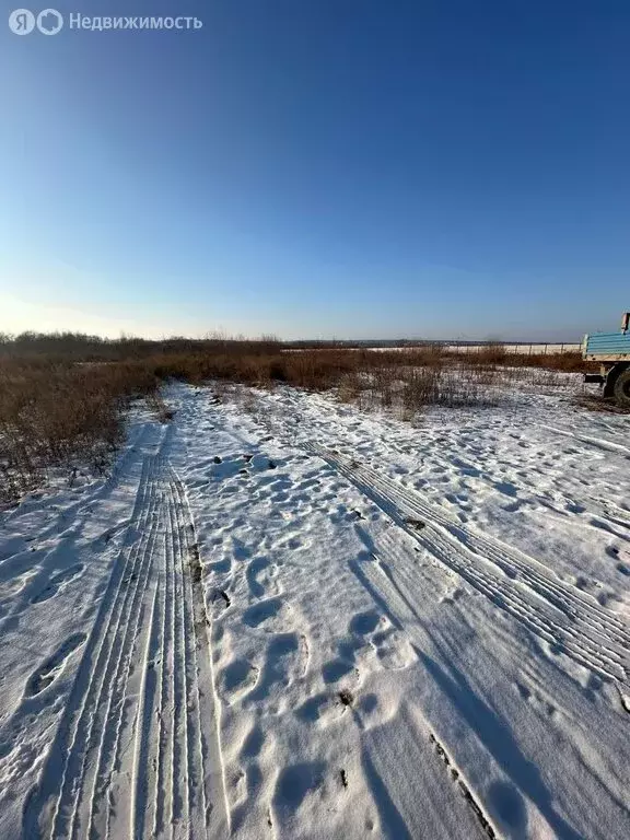 Участок в Амурская область, Благовещенский муниципальный округ, село ... - Фото 1