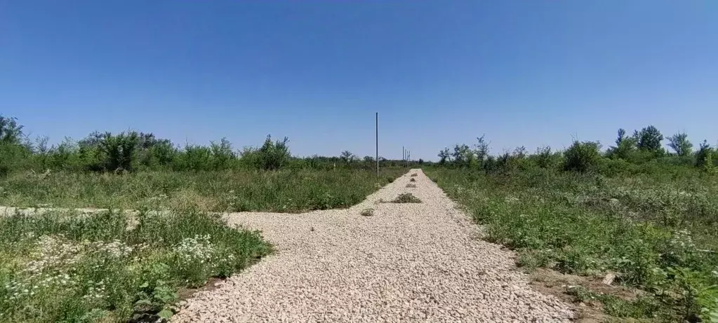 Участок в Саратовская область, Энгельс муниципальное образование, ... - Фото 0