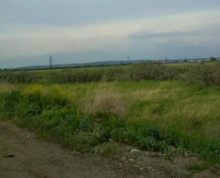 Участок в Иркутская область, Иркутский муниципальный округ, Иркутный ... - Фото 2