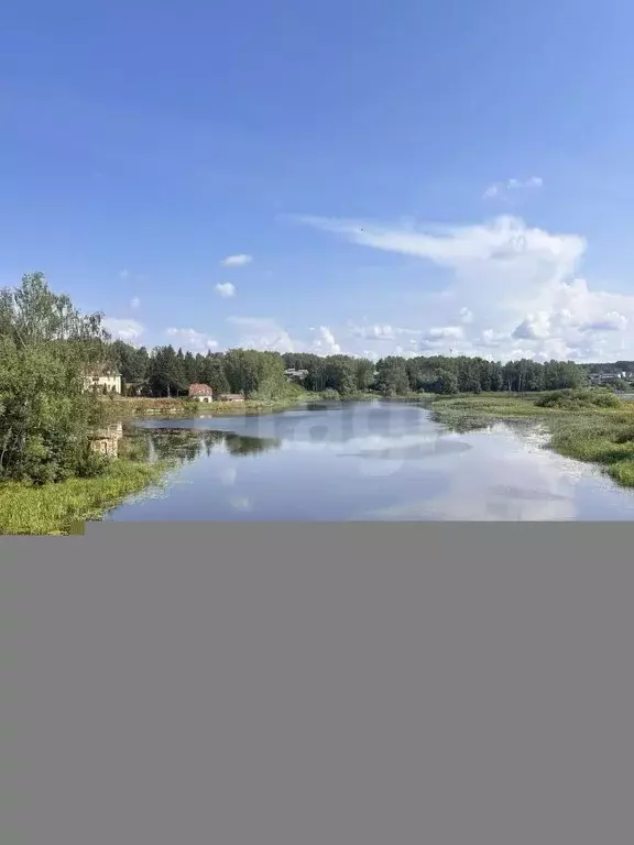 Участок в Ярославская область, Некрасовский муниципальный округ, с. ... - Фото 0