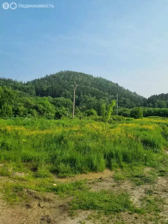 Участок в Корсаковский городской округ, село Лесное, Морская улица ... - Фото 2