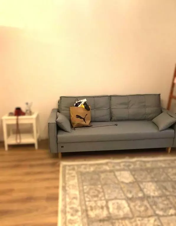 Студия Москва ул. Корнейчука, 27 (25.0 м) - Фото 2