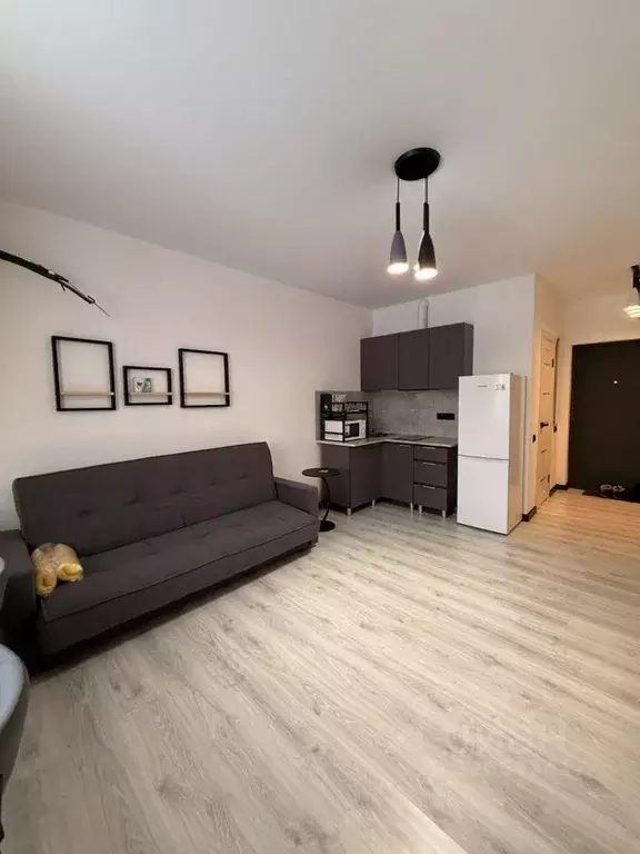 Студия Московская область, Химки городской округ, д. Рузино, ... - Фото 1