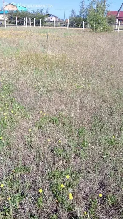 Участок в Республика Саха (Якутия), городской округ Якутск, село ... - Фото 1