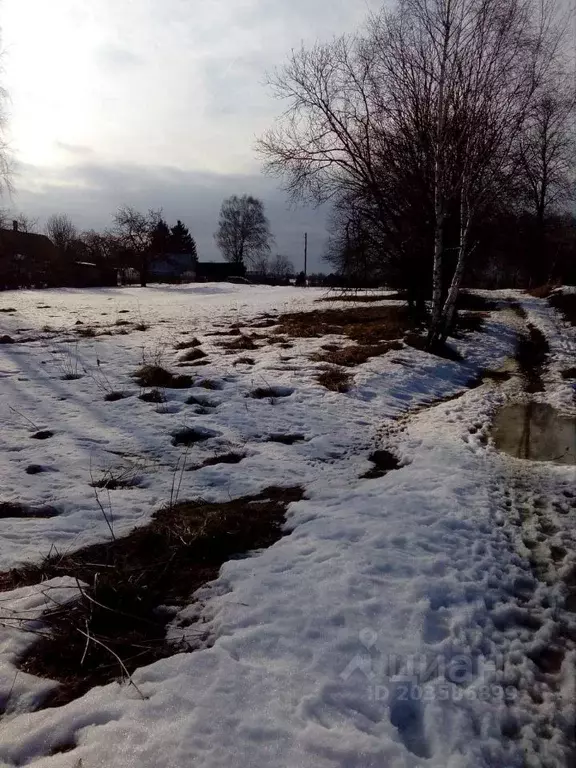 Участок в Смоленская область, Смоленский муниципальный округ, д. ... - Фото 1