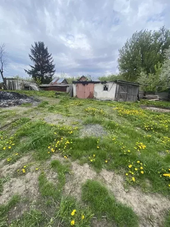 Участок в Орловская область, Орловский муниципальный округ, с. ... - Фото 1
